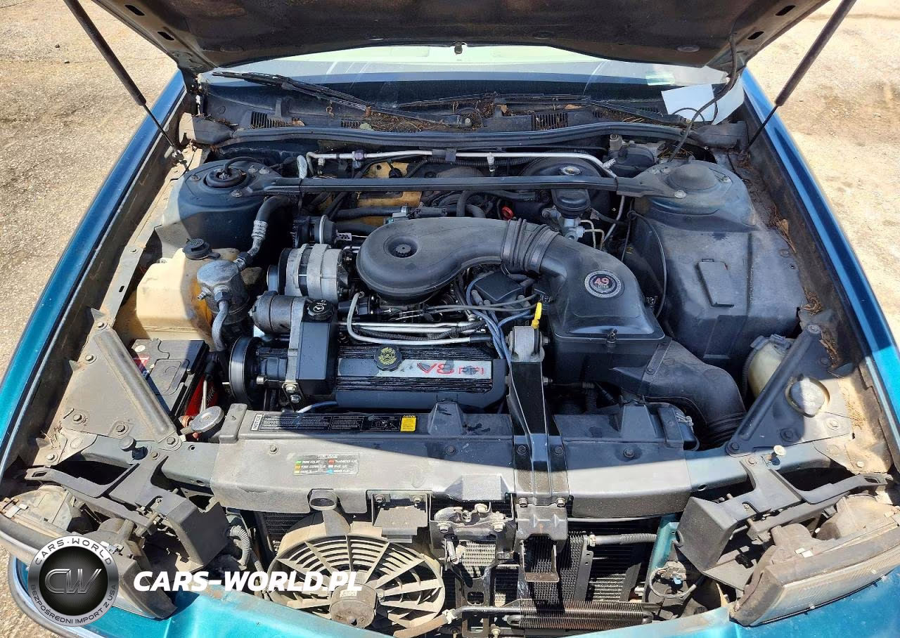 1995 Cadillac Deville VIN:1G6KD52B1SU279384 - 11