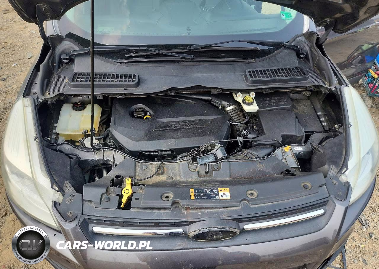 2014 Ford Escape Se VIN:1FMCU0GX1EUD91918 - 12