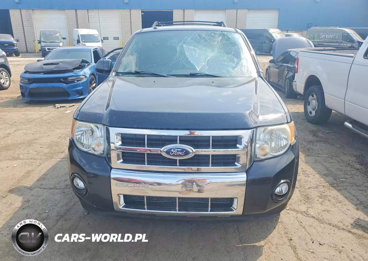 2009 Ford Escape Limited VIN:1FMCU04709KB26610 - 5