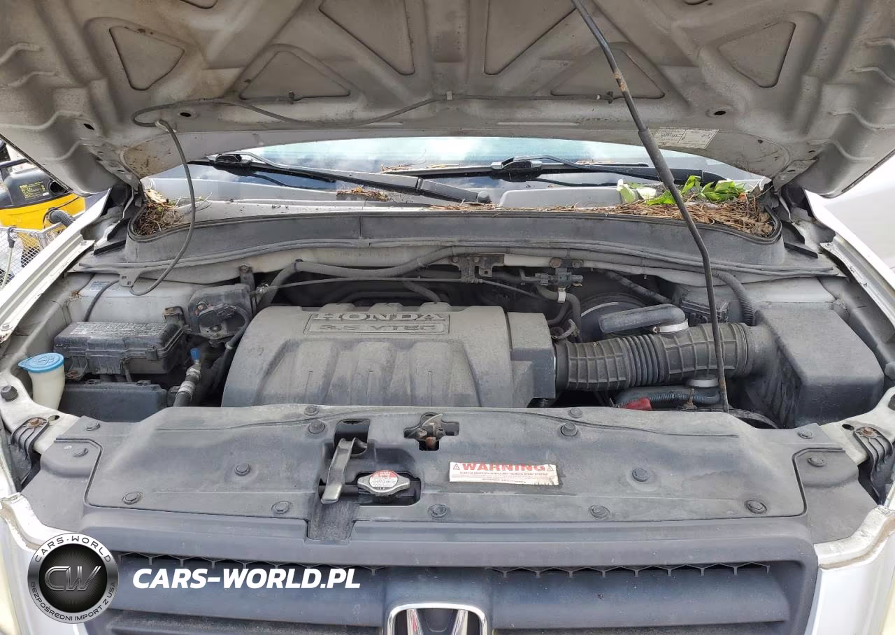 2005 Honda Pilot Exl VIN:5FNYF18525B061866 - 12