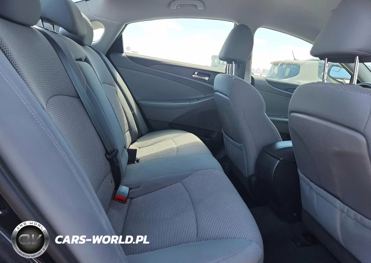 2014 Hyundai Sonata Gls VIN:5NPEB4AC3EH843118 - 10