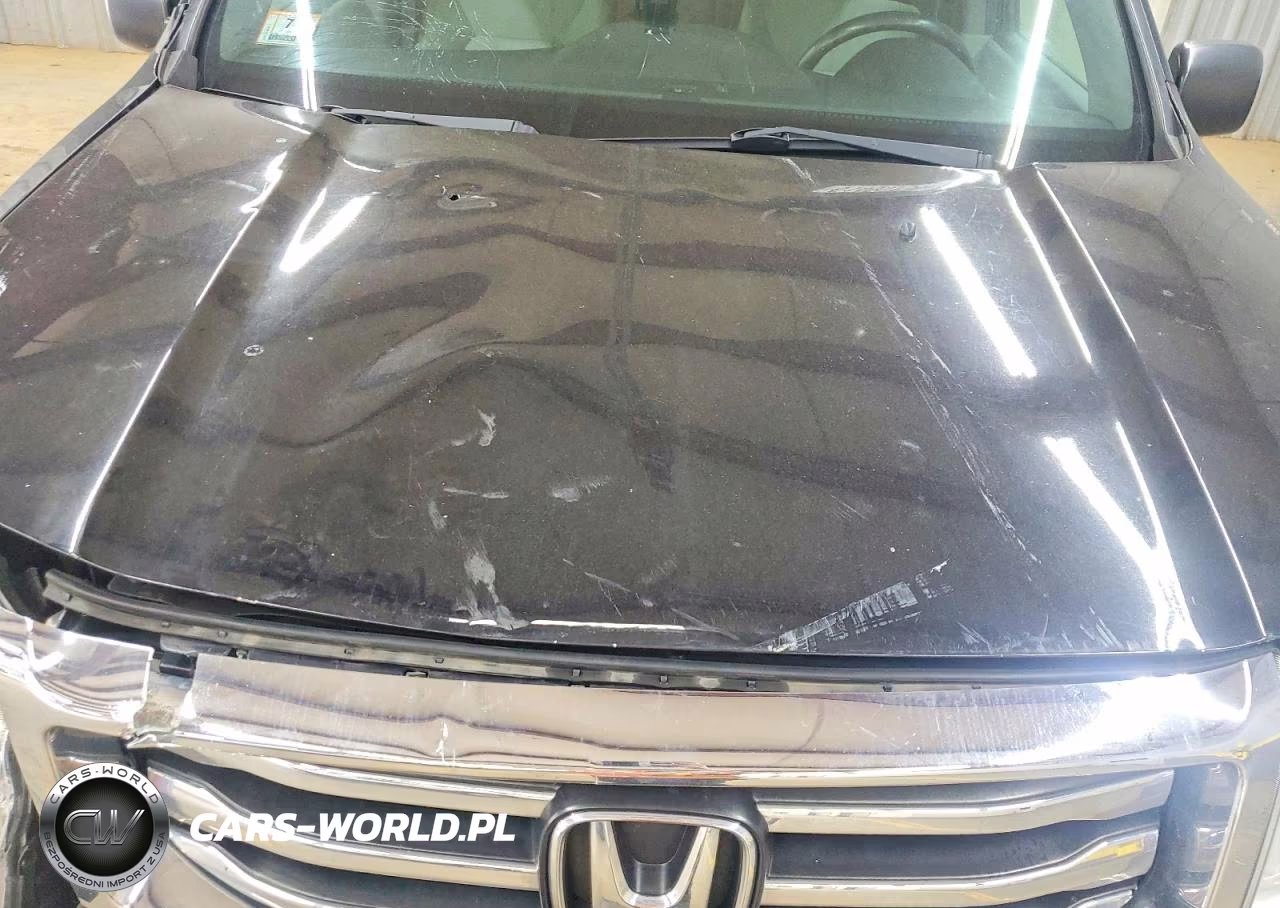2014 Honda Pilot Lx VIN:5FNYF4H26EB054653 - 12