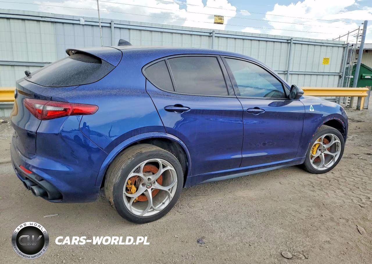 2018 Alfa Romeo Stelvio Quadrifoglio VIN:ZASFAKEV8J7C17691 - 3