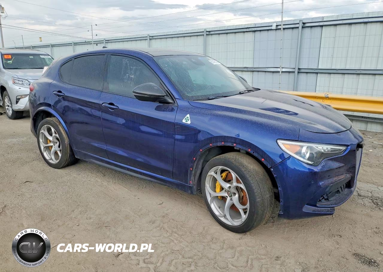 2018 Alfa Romeo Stelvio Quadrifoglio VIN:ZASFAKEV8J7C17691 - 4