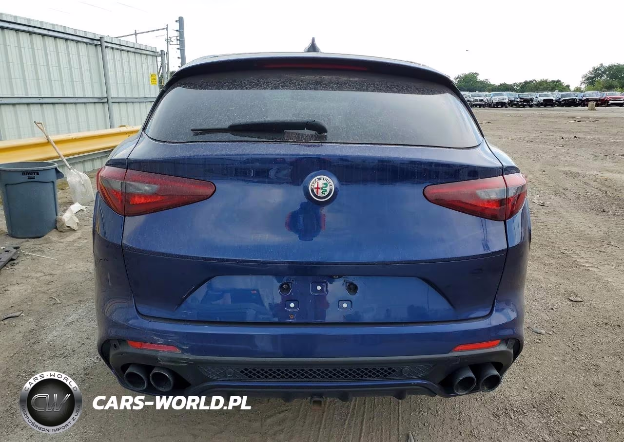 2018 Alfa Romeo Stelvio Quadrifoglio VIN:ZASFAKEV8J7C17691 - 6