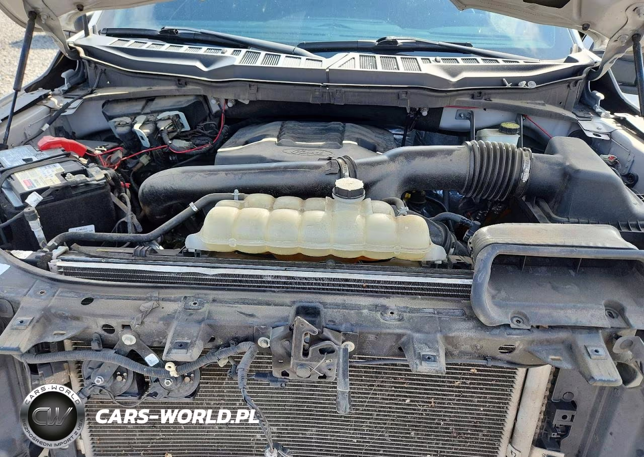 2022 Ford F150 Supercrew VIN:1FTFW1E81NKE53570 - 11