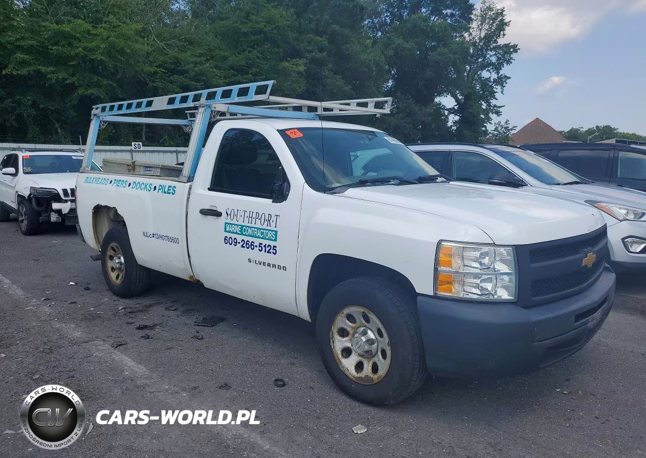 2012 Chevrolet Silverado C1500 VIN:1GCNCPEX3CZ302202 - 4