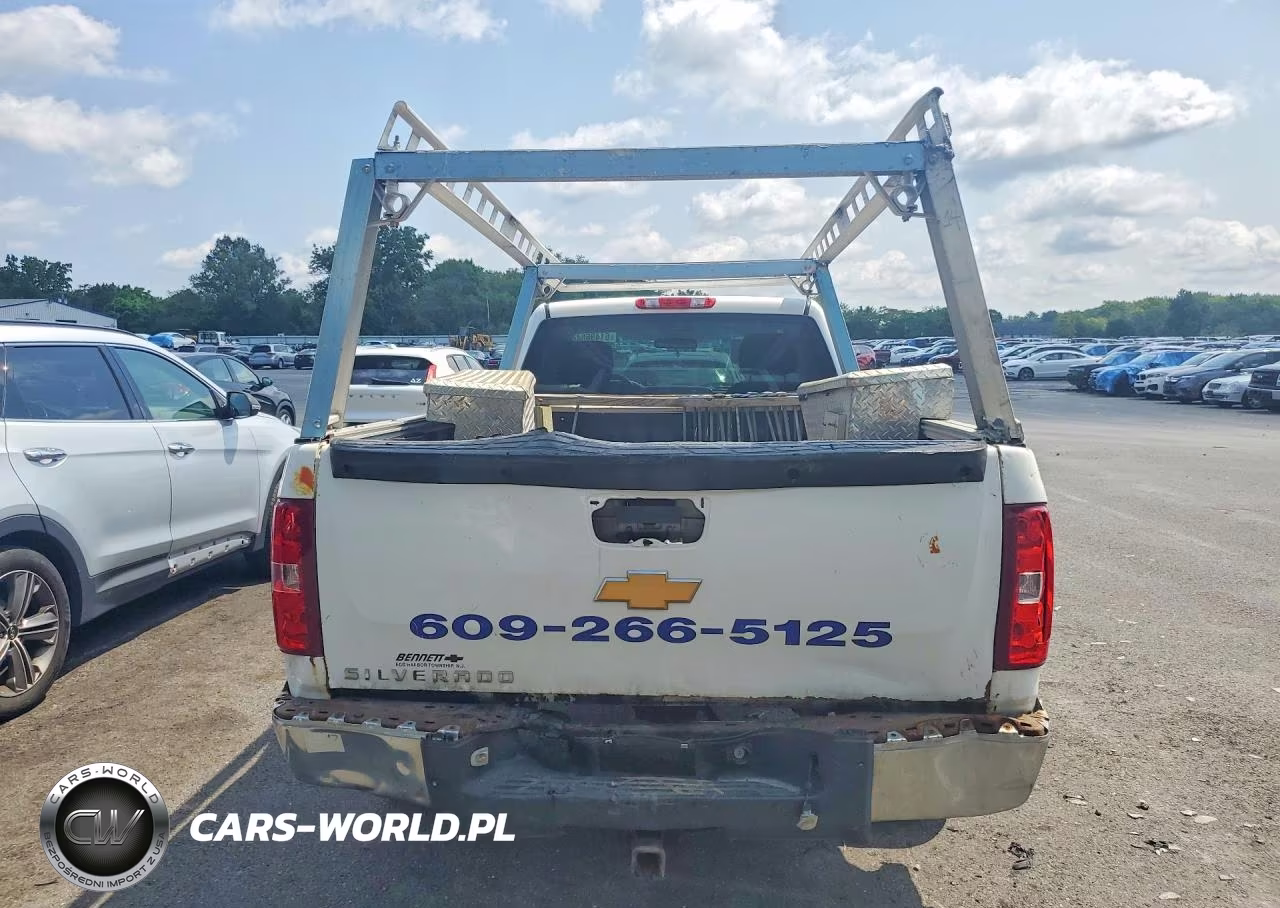 2012 Chevrolet Silverado C1500 VIN:1GCNCPEX3CZ302202 - 6