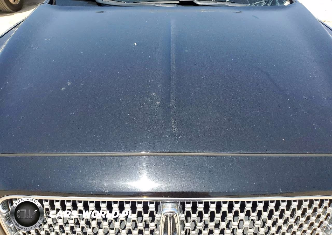 2019 Lincoln Continental Select VIN:1LN6L9SK0K5613337 - 11