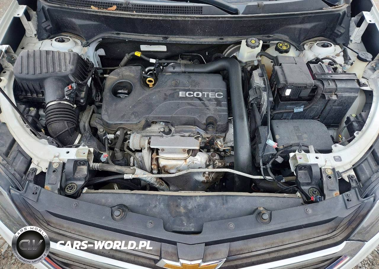 2019 Chevrolet Equinox Lt VIN:2GNAXUEV2K6184256 - 11