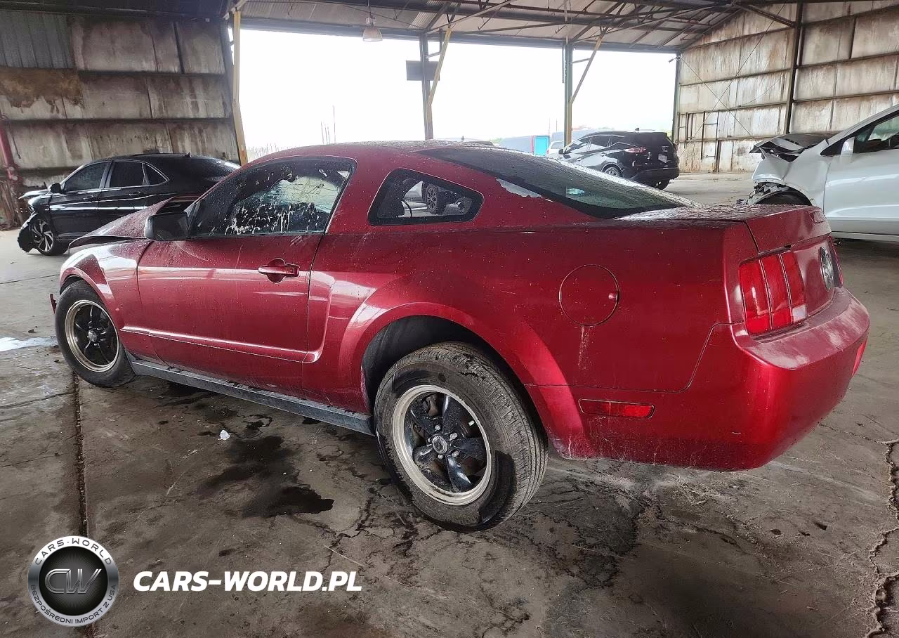 2005 Ford Mustang VIN:1ZVFT80N955152197 - 2
