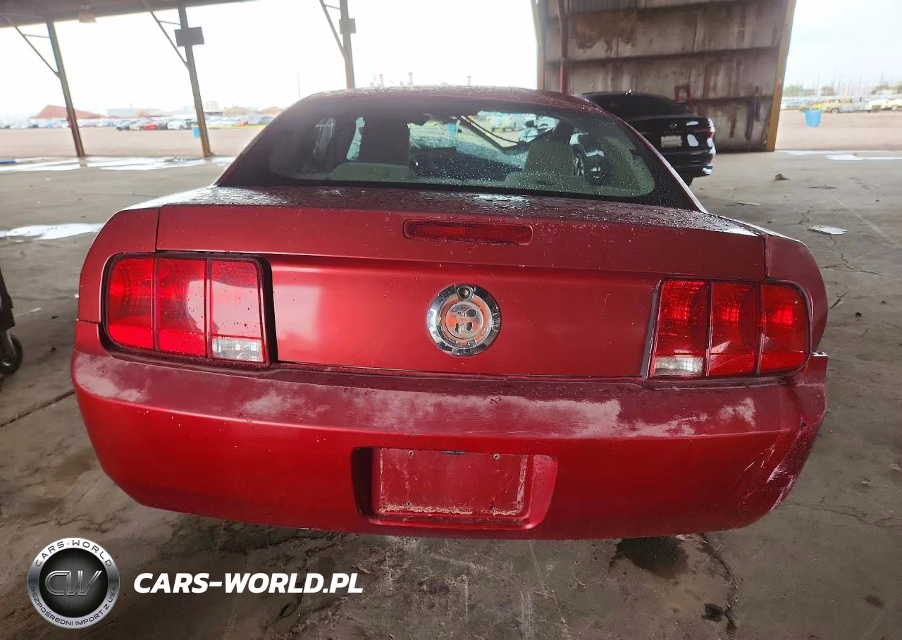 2005 Ford Mustang VIN:1ZVFT80N955152197 - 6