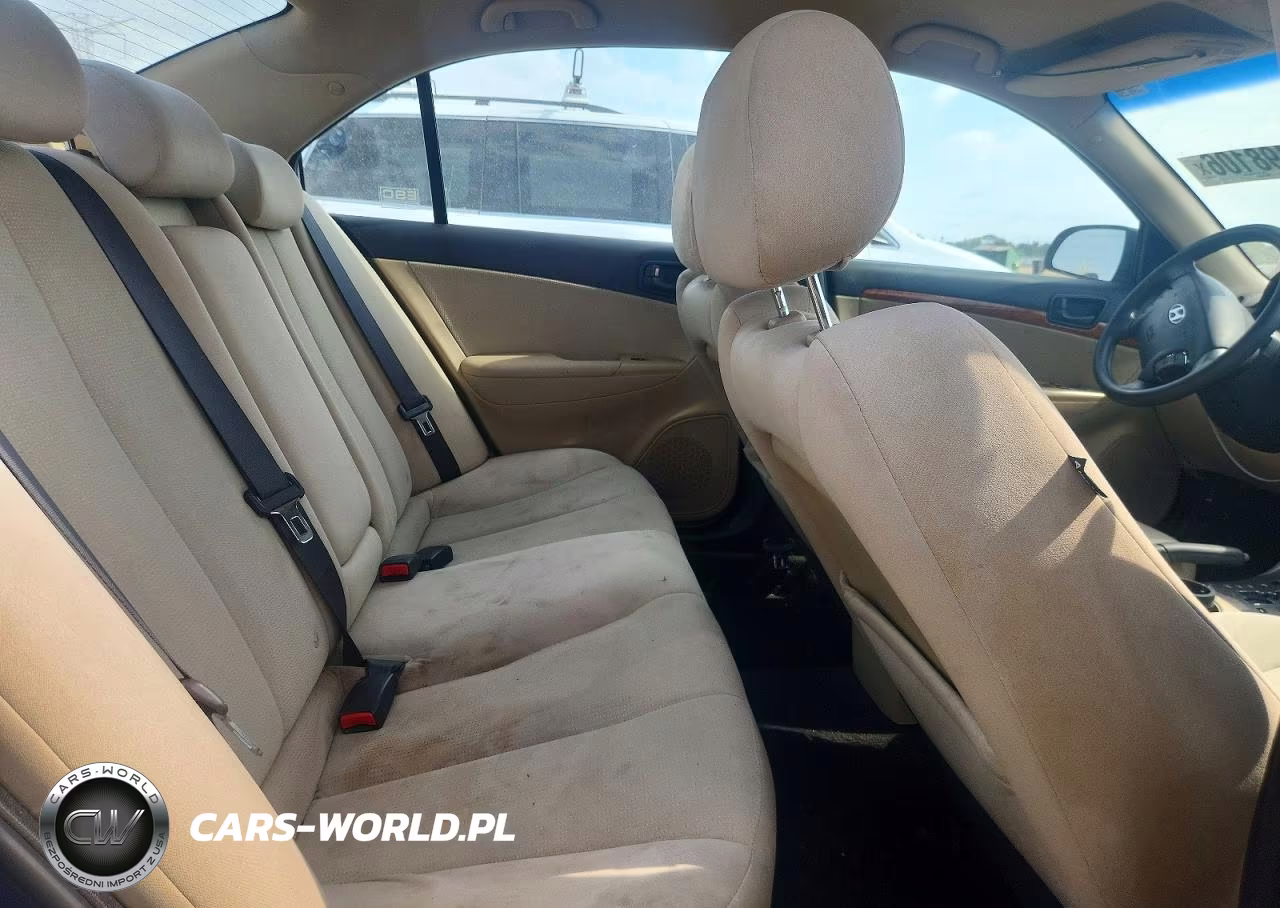 2010 Hyundai Sonata Gls VIN:5NPET4AC8AH620757 - 10