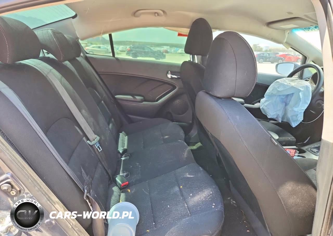 2016 Kia Forte Lx VIN:KNAFK4A65G5613921 - 10