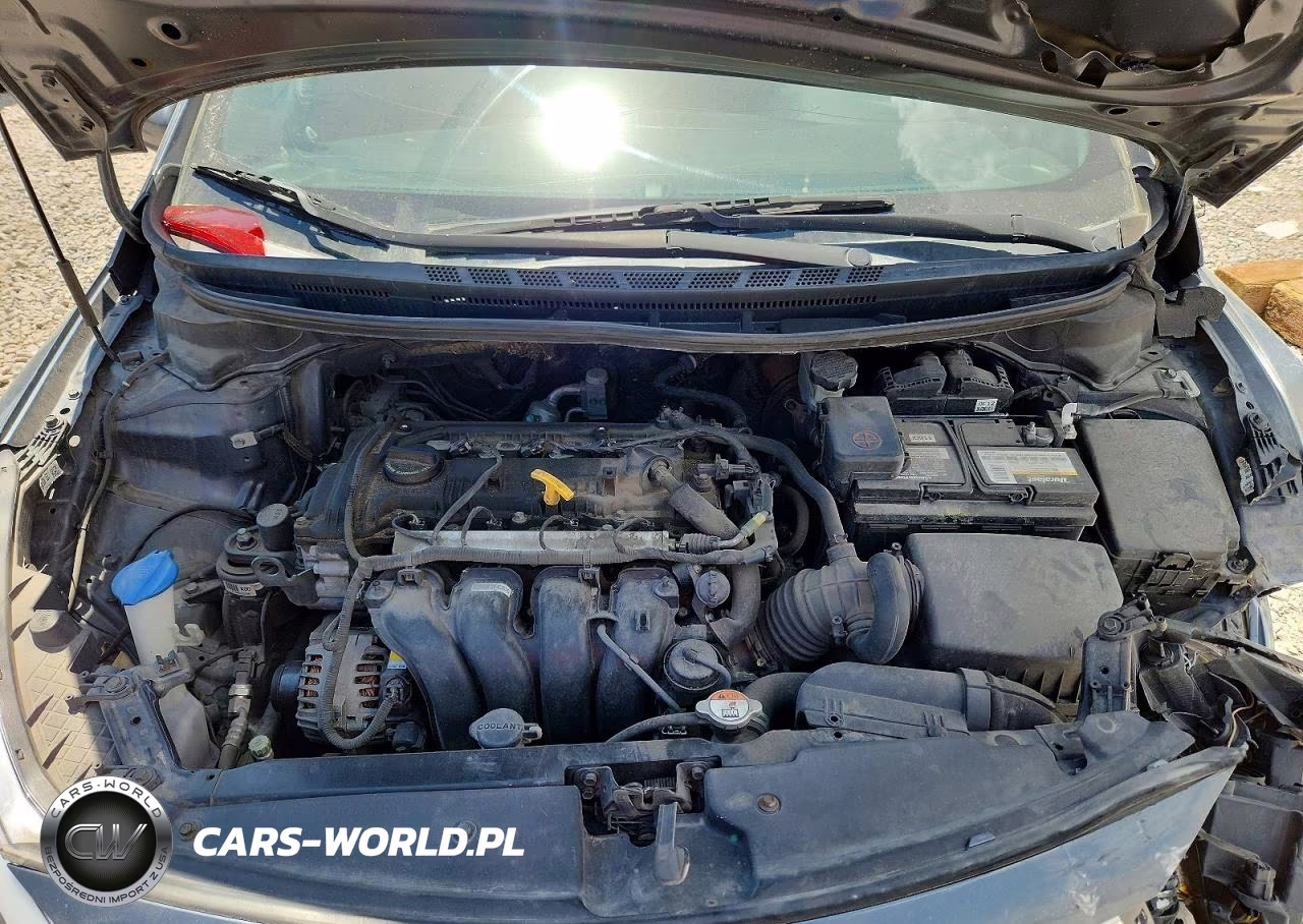 2016 Kia Forte Lx VIN:KNAFK4A65G5613921 - 11
