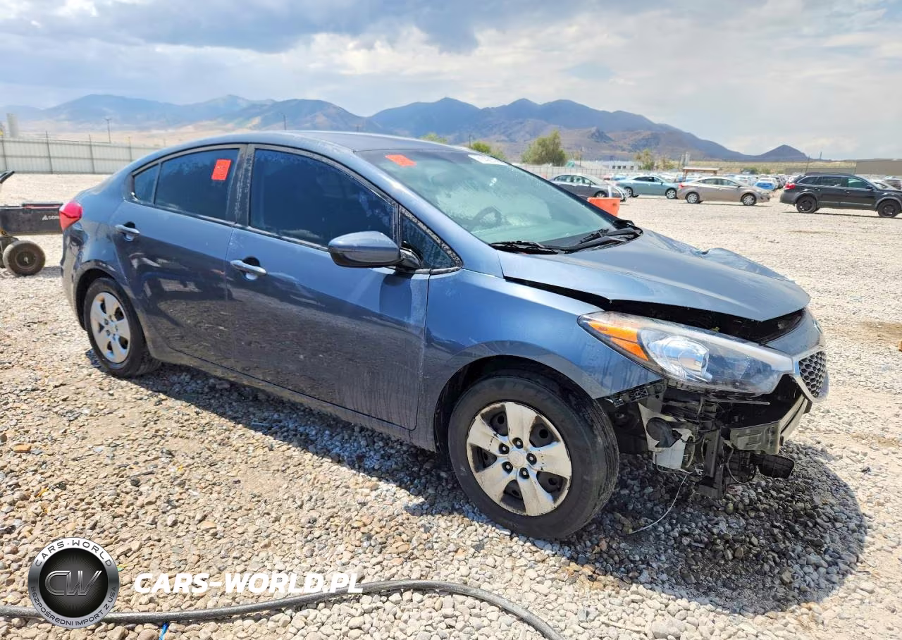 2016 Kia Forte Lx VIN:KNAFK4A65G5613921 - 4