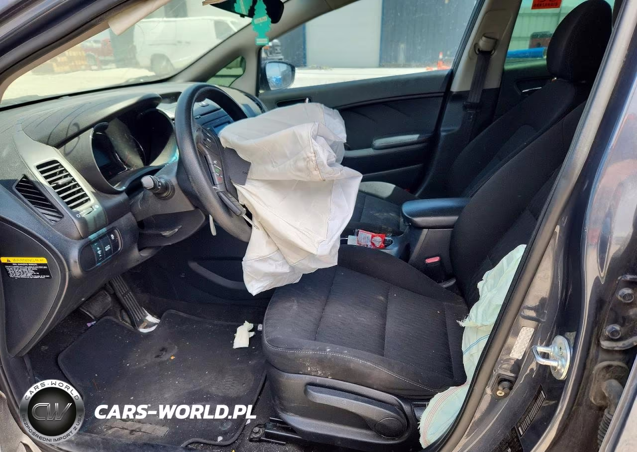 2016 Kia Forte Lx VIN:KNAFK4A65G5613921 - 7