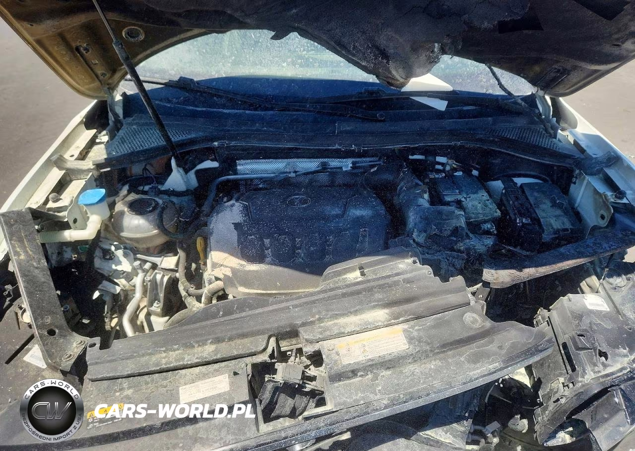 2022 Volkswagen Tiguan Se VIN:3VV3B7AX9NM082845 - 12