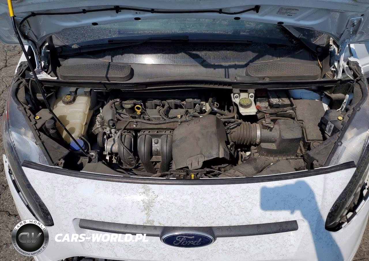 2015 Ford Transit Connect Xlt VIN:NM0GE9F79F1199087 - 12
