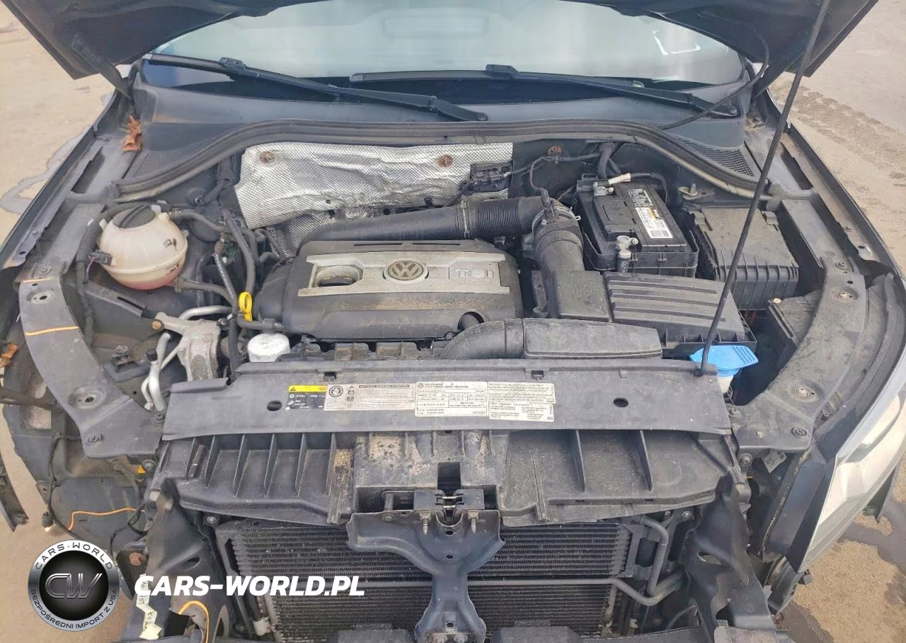 2016 Volkswagen Tiguan S VIN:WVGBV7AX5GW602815 - 11