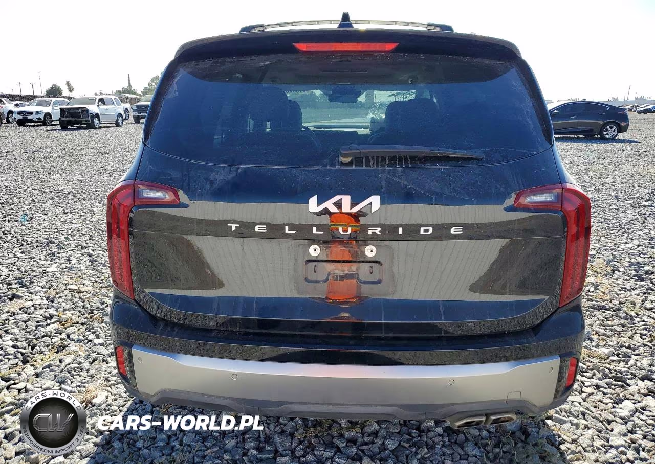2025 Kia Telluride S VIN:5XYP64GC0SG674246 - 6