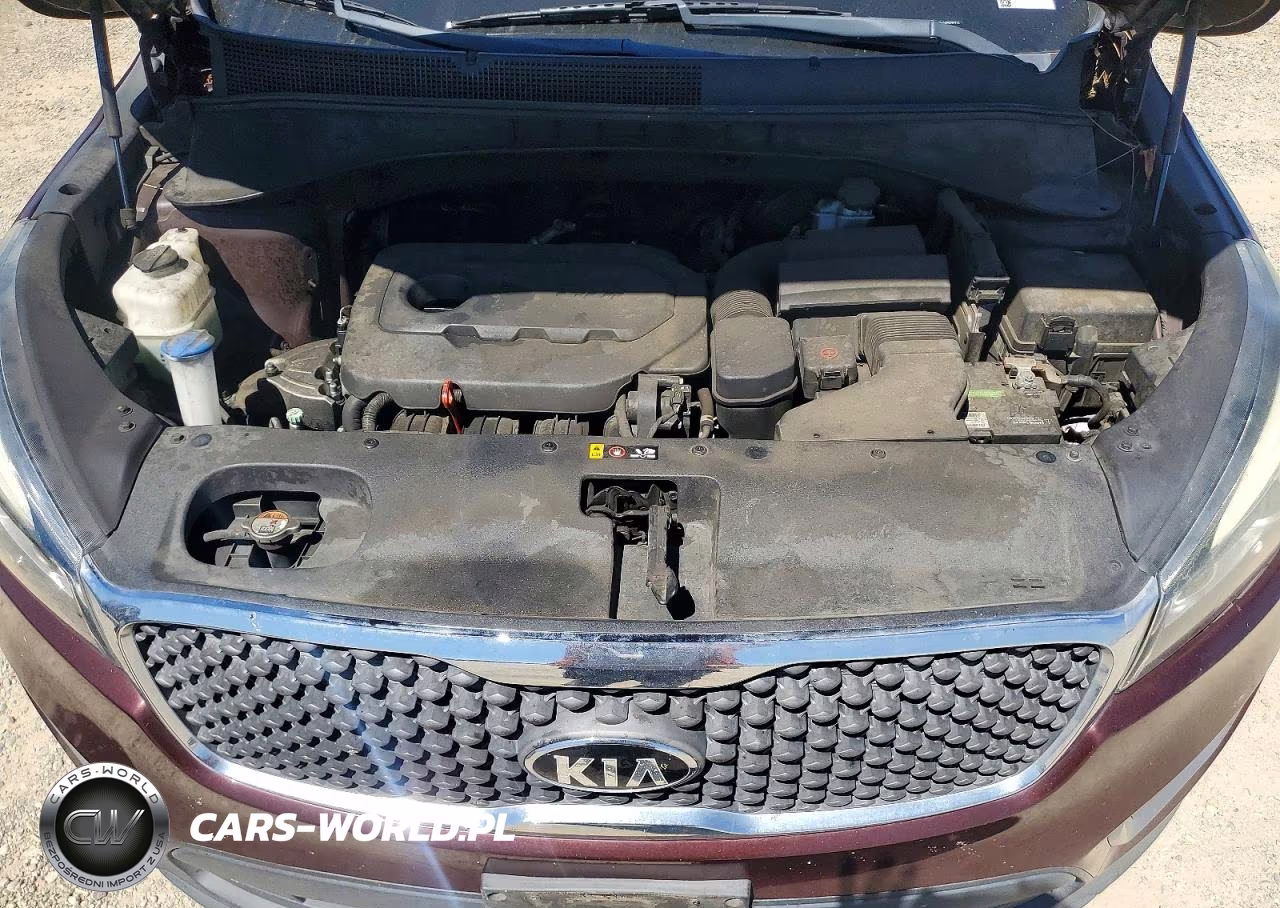 2017 Kia Sorento Lx VIN:5XYPGDA3XHG280252 - 12