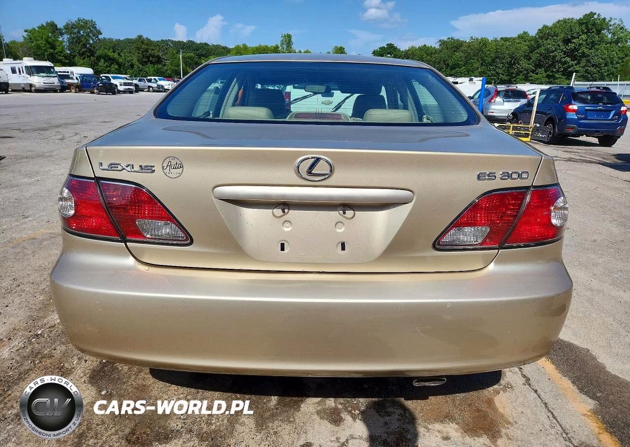 2003 Lexus Es 300 VIN:JTHBF30G330109190 - 6