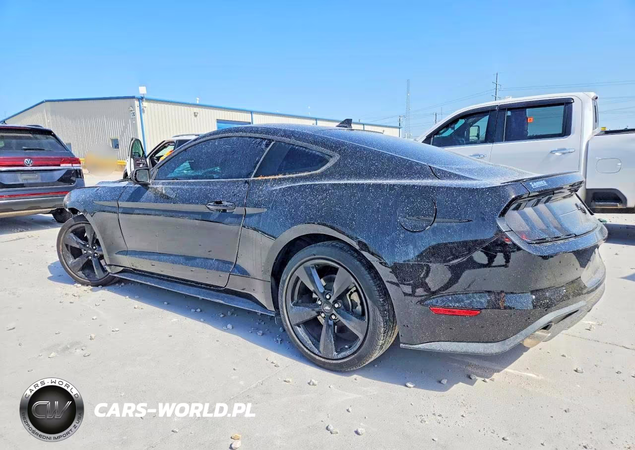 2022 Ford Mustang VIN:1FA6P8TH7N5142951 - 2
