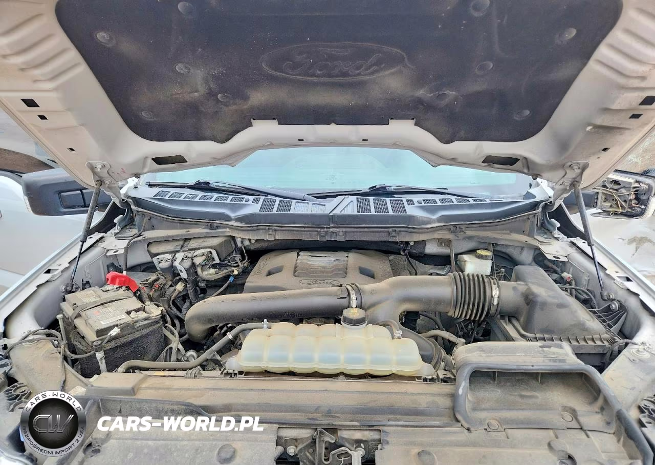2022 Ford F150 Supercrew VIN:1FTFW1E88NKE79020 - 11