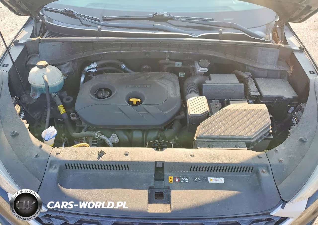2019 Hyundai Tucson Se VIN:KM8J2CA42KU894625 - 12