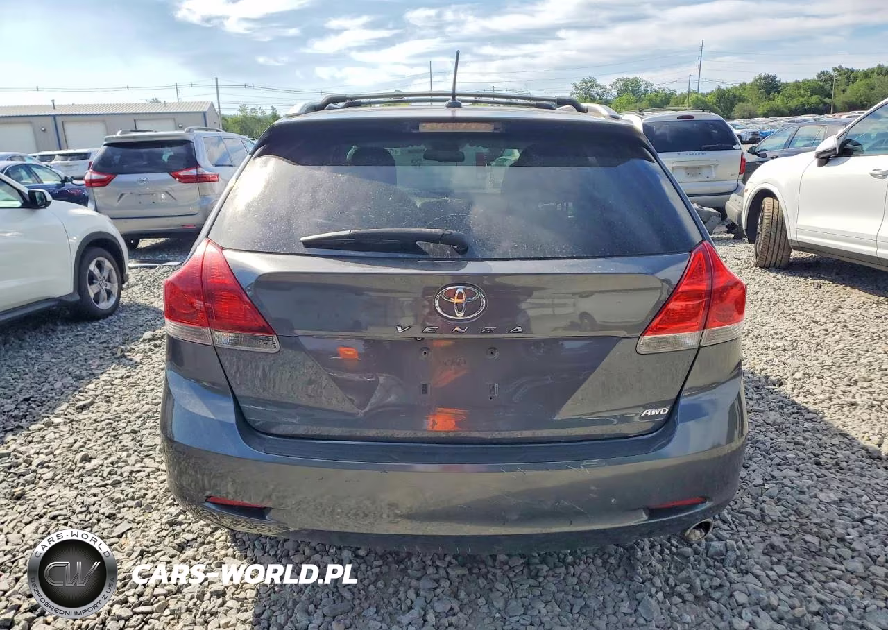 2010 Toyota Venza Awd 4Cyl VIN:4T3BA3BBXAU010411 - 6