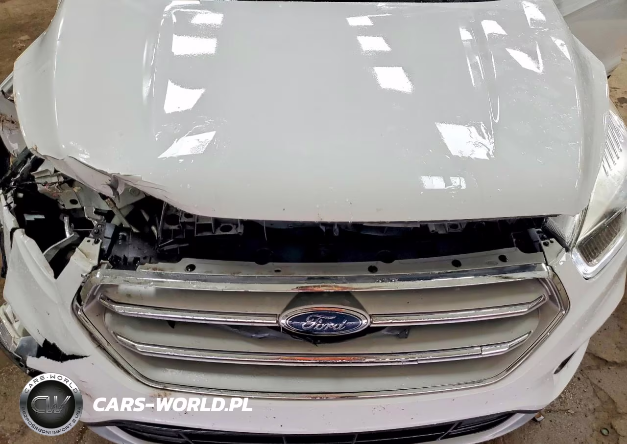 2019 Ford Escape Sel VIN:1FMCU9HD5KUA97653 - 12