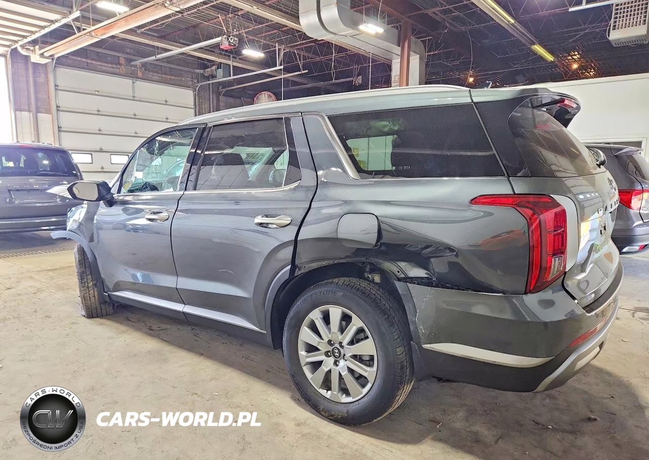2025 Hyundai Palisade Sel VIN:KM8R2DGE0SU905971 - 2