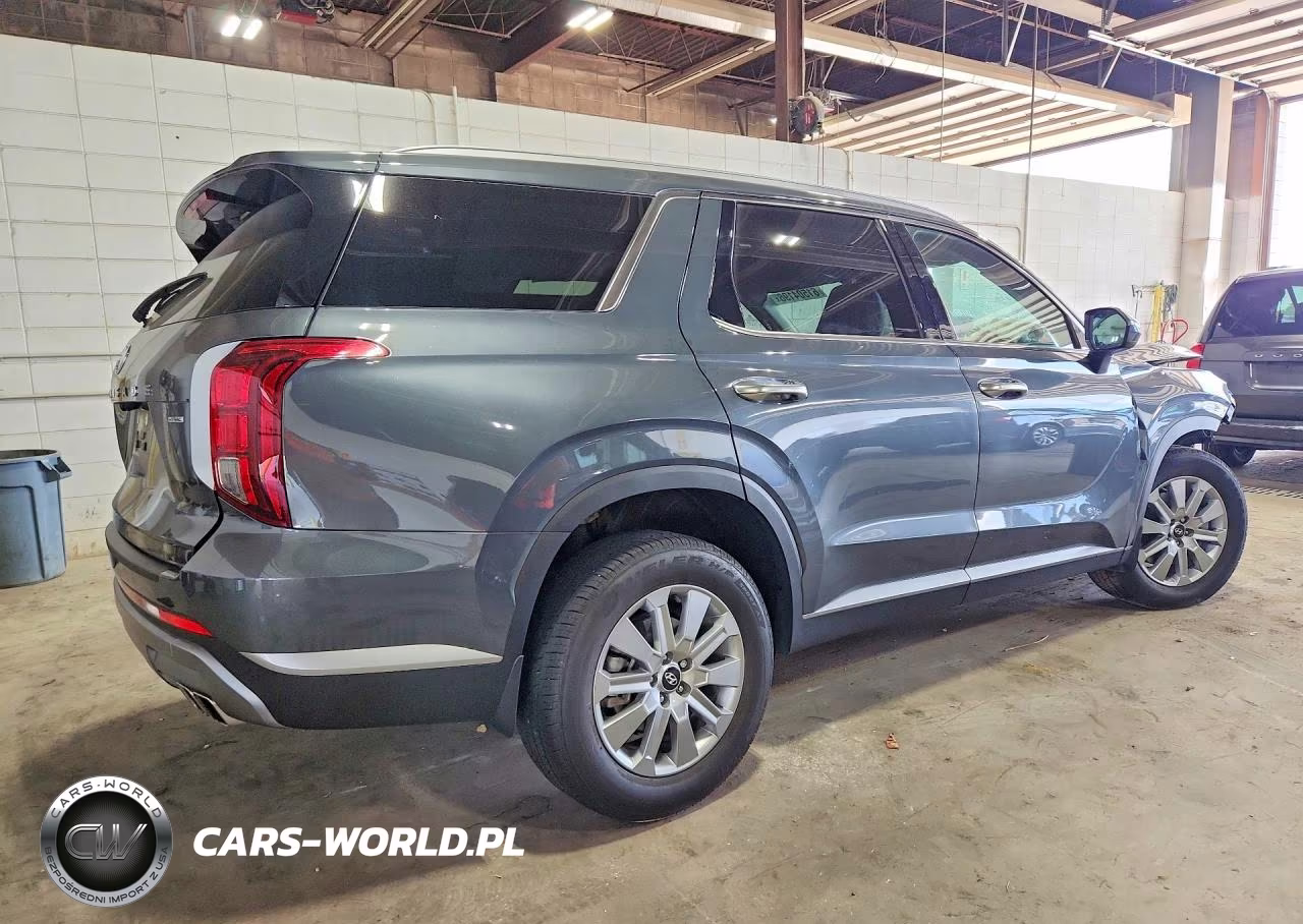 2025 Hyundai Palisade Sel VIN:KM8R2DGE0SU905971 - 3