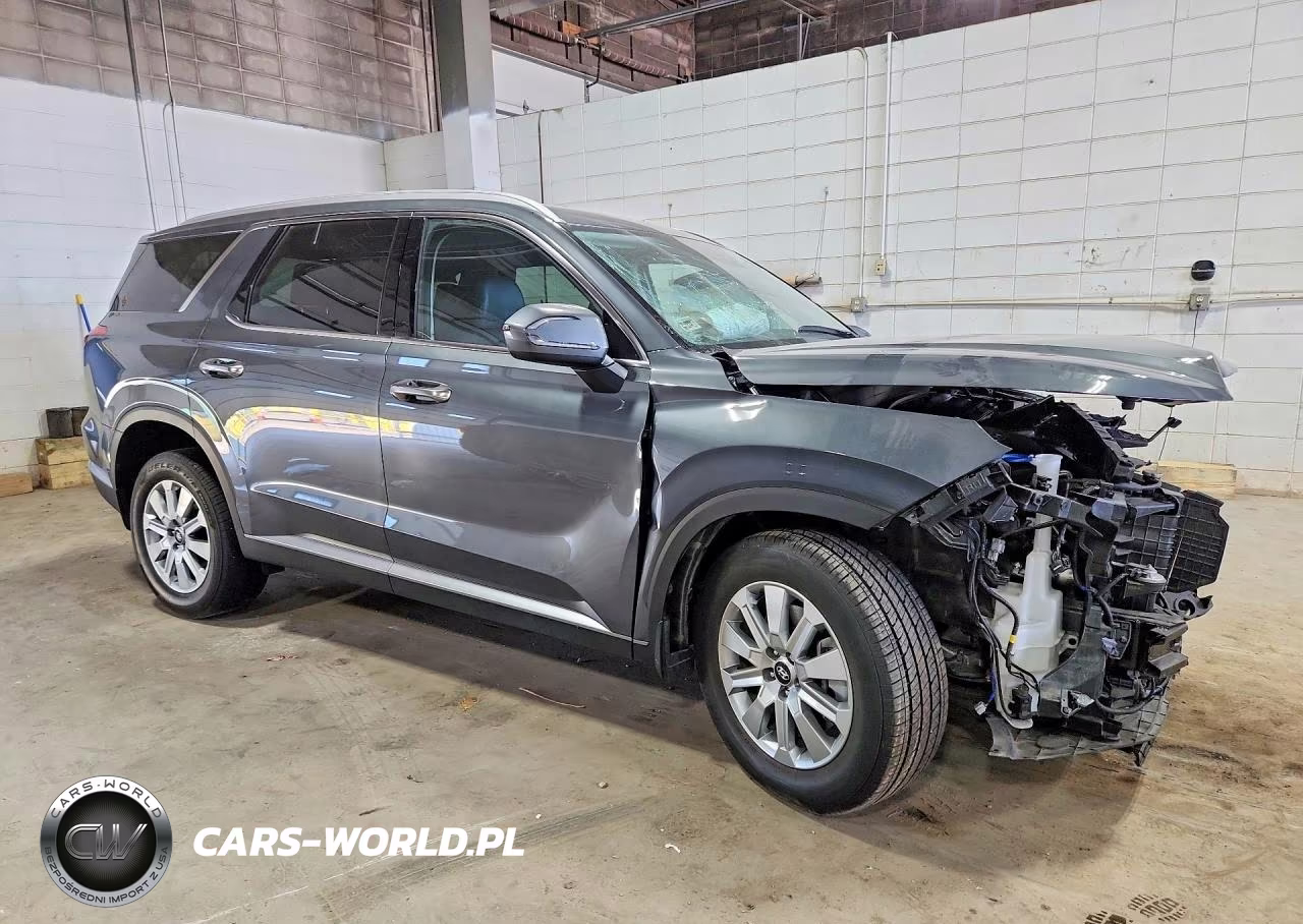 2025 Hyundai Palisade Sel VIN:KM8R2DGE0SU905971 - 4
