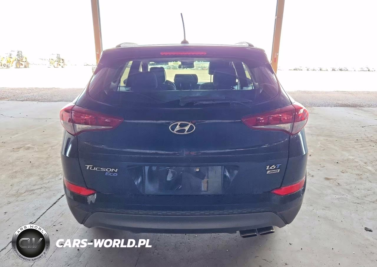 2016 Hyundai Tucson Eco VIN:KM8J3CA21GU171481 - 6