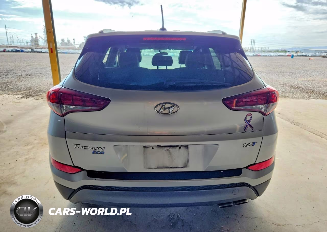 2016 Hyundai Tucson Eco VIN:KM8J33A20GU212733 - 6