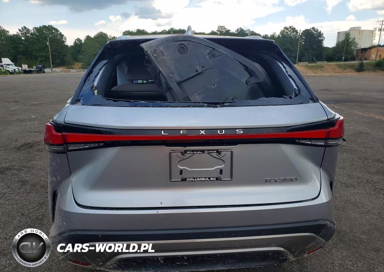 2024 Lexus Rx 350 Premium+ VIN:2T2BAMBA2RC037326 - 6