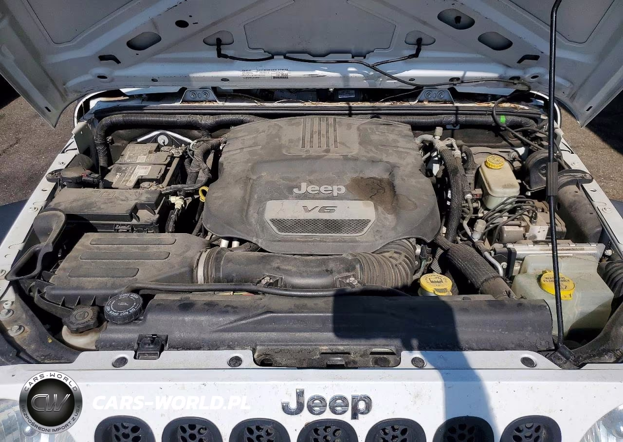2016 Jeep Wrangler Unlimited Sport VIN:1C4BJWDG1GL109897 - 12