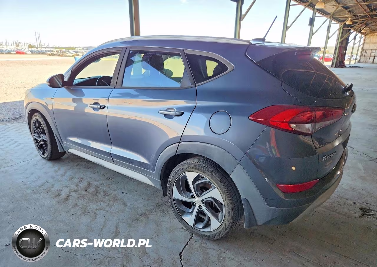 2017 Hyundai Tucson VIN:KM8J33A24HU524295 - 2