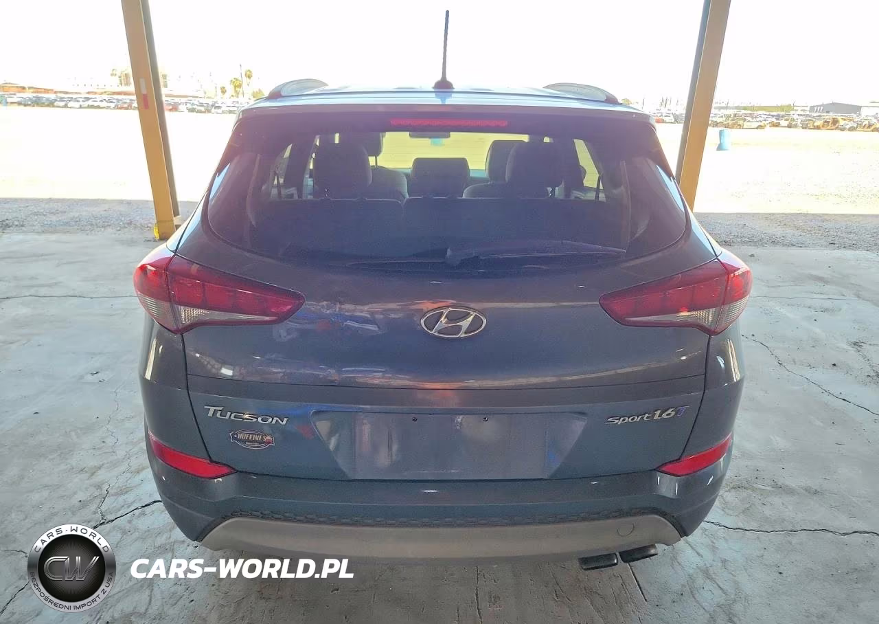 2017 Hyundai Tucson VIN:KM8J33A24HU524295 - 6