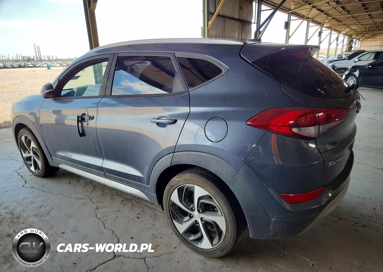 2017 Hyundai Tucson Sport VIN:KM8J33A29HU377844 - 2