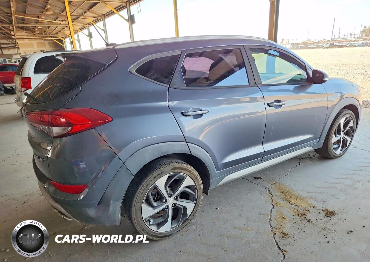 2017 Hyundai Tucson Sport VIN:KM8J33A29HU377844 - 3