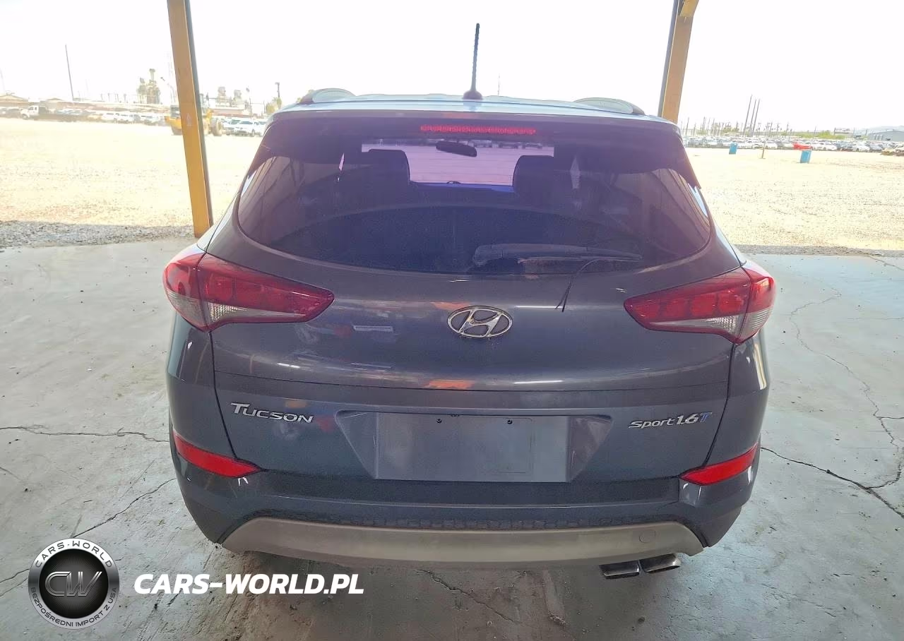 2017 Hyundai Tucson Sport VIN:KM8J33A29HU377844 - 6