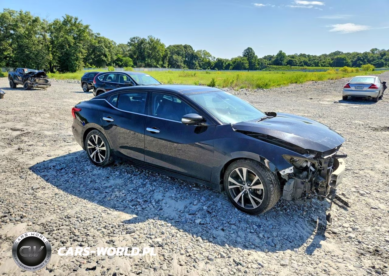 2017 Nissan Maxima Platinum VIN:1N4AA6AP8HC410142 - 4