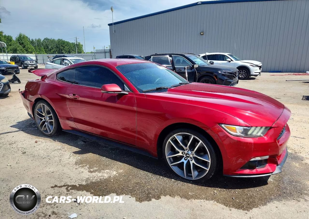 2017 Ford Mustang VIN:1FA6P8TH7H5258297 - 4