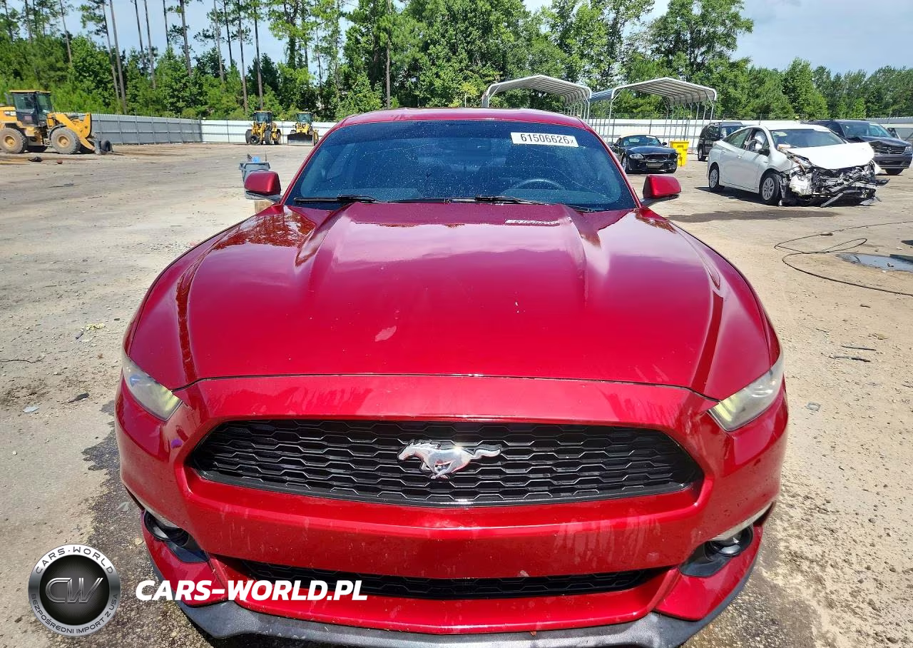 2017 Ford Mustang VIN:1FA6P8TH7H5258297 - 5