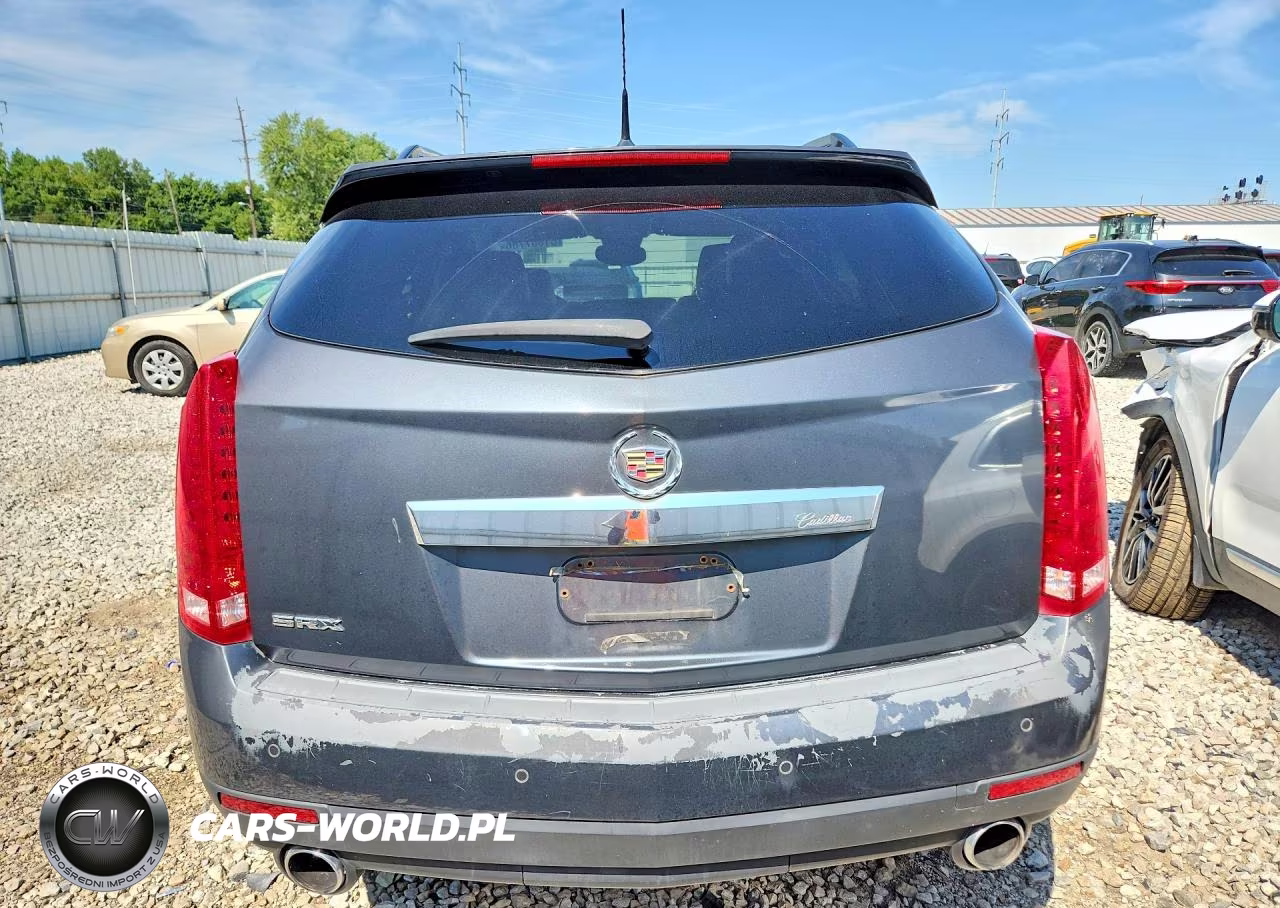 2010 Cadillac Srx Luxury Collection VIN:3GYFNAEY1AS522270 - 6