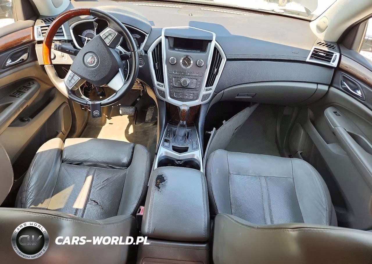 2010 Cadillac Srx Luxury Collection VIN:3GYFNAEY1AS522270 - 8