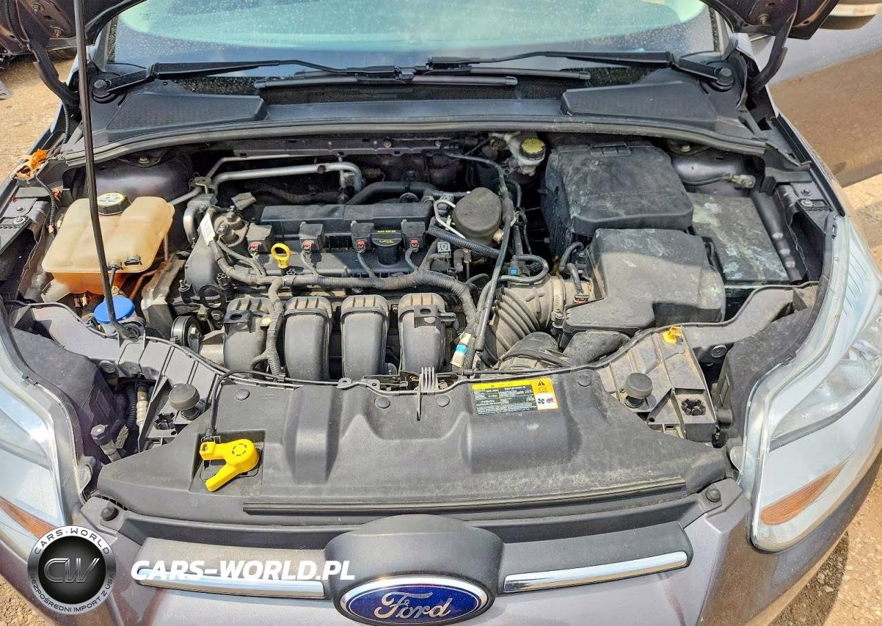 2013 Ford Focus Se VIN:1FADP3K22DL175485 - 11
